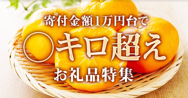 今回は、数量限定のお礼品をご紹介します。
