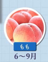 ◇６～９月が旬！《もも》