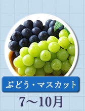 ◇７～１０月が旬！《ぶどう・マスカット》