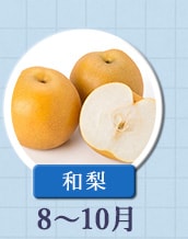 ◇８～１０月が旬！《和梨》