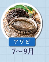 ◇７～９月が旬！《アワビ》