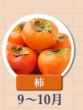 ◇９～１０月が旬！《柿》