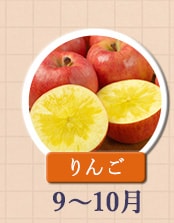 ◇９～１０月が旬！《りんご》
