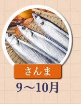 ◇９～１０月が旬！《さんま》