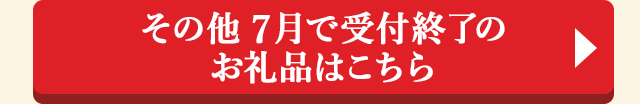 ＞＞その他 7月で受付終了のお礼品はこちら＜＜