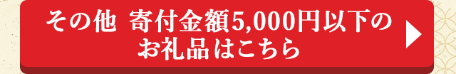 ◎その他 寄付金額5,000円以下のお礼品はこちら◎
