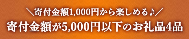 《寄付金額1,000円から楽しめる♪》寄付金額が5,000円以下のお礼品４品