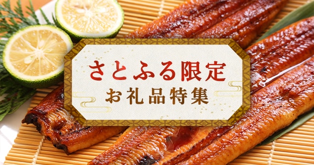 さとふる限定のお礼品特集