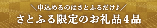 ＼申込めるのはさとふるだけ♪／さとふる限定のお礼品４品