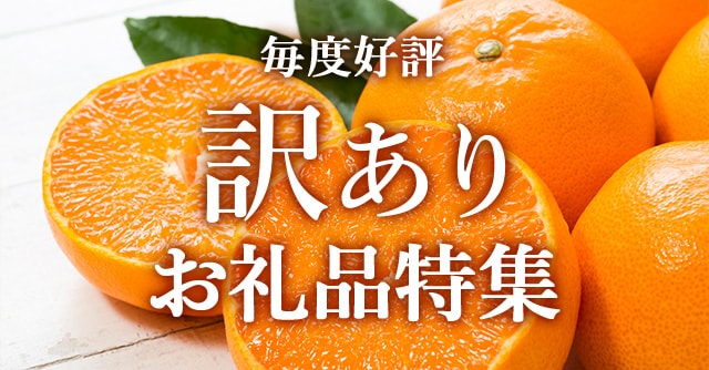 今回は、毎度好評の訳ありお礼品特集です。