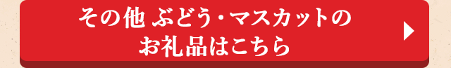 ◎その他 ぶどう・マスカットのお礼品はこちら◎