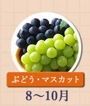 ◇８～１０月が旬！《ぶどう・マスカット》