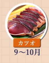 ◇９～１０月が旬！《カツオ》