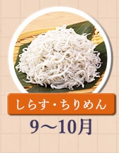 ◇９～１０月が旬！《しらす・ちりめん》