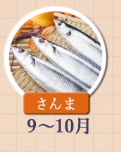 ◇９～１０月が旬！《さんま》