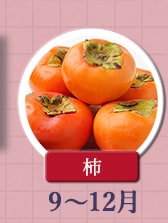 ◇９～１２月が旬！《柿》