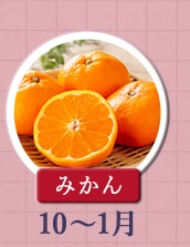 ◇１０月～１月が旬！《みかん》