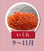 ◇９～１１月が旬！《いくら》