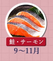 ◇９～１１月が旬！《鮭・サーモン》