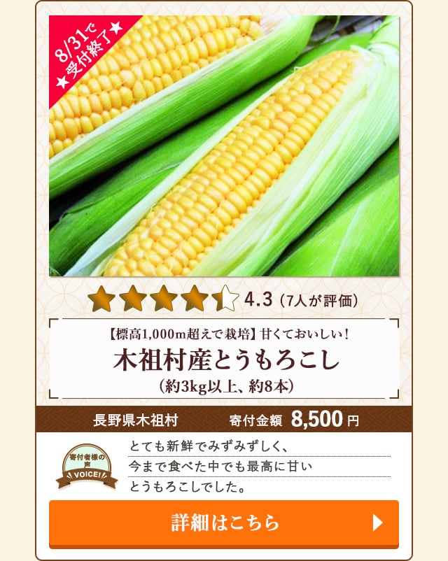 ☆8/31で受付終了☆
							【★評価４．３（７人が評価）】
							「【標高1,000m超えで栽培】甘くておいしい！木祖村産とうもろこし」(約3kg以上、約8本)/長野県木祖村