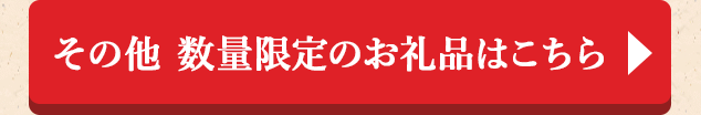 ◎その他 数量限定のお礼品はこちら◎