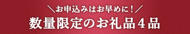 《お申込みはお早めに！》数量限定のお礼品４品