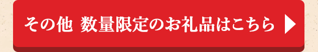 ◎その他 数量限定のお礼品はこちら◎