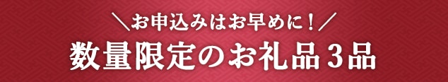 《お申込みはお早めに！》数量限定のお礼品３品