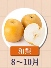 ◇８～１０月が旬！《和梨》