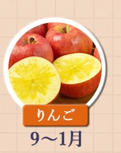 ◇９～１月が旬！《りんご》