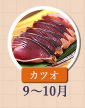 ◇９～１０月が旬！《カツオ》