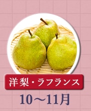 ◇１０～１１月が旬！《洋梨・ラフランス》