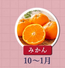 ◇１０～１月が旬！《みかん》