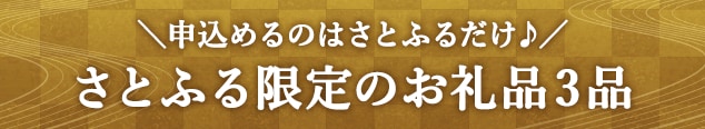 ＼申込めるのはさとふるだけ♪／さとふる限定のお礼品３品
