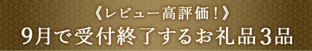 《レビュー高評価！》９月で受付終了するお礼品3品
