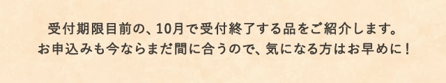 受付期限目前の、10月で受付終了する品をご紹介します。お申込みも今ならまだ間に合うので、気になる方はお早めに！