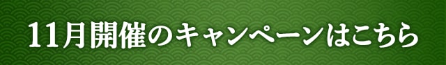 11月開催のキャンペーンはこちら