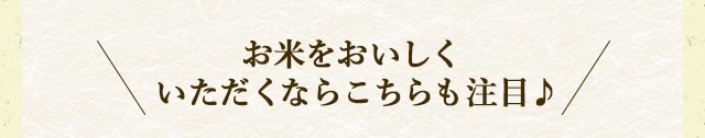\＼お米をおいしくいただくならこちらも注目♪／