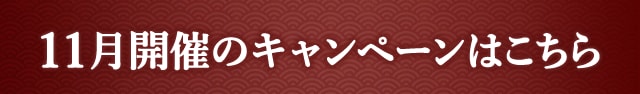 11月開催のキャンペーンはこちら