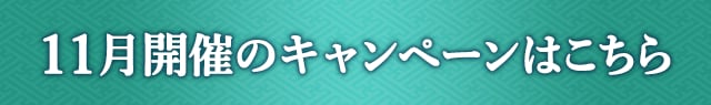 11月開催のキャンペーンはこちら