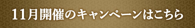 11月開催のキャンペーンはこちら