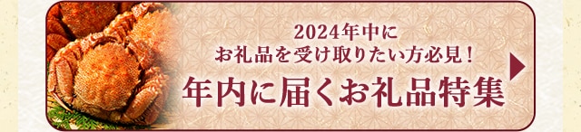 ★2024年中にお礼品を受け取りたい方必見！年内に届くお礼品特集★