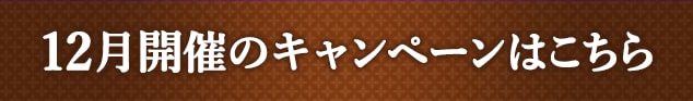 12月開催のキャンペーンはこちら