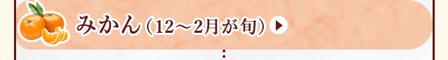◇１２～２月が旬！《みかん》