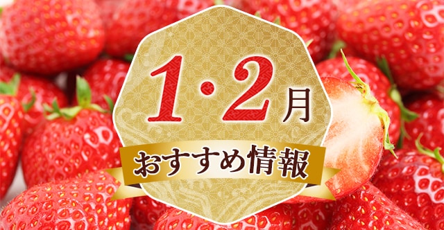 ★必見★ 一目で分かる！冬が旬の果物・フルーツをご紹介♪旬の食材はふるさと納税のお礼品で探してみませんか？