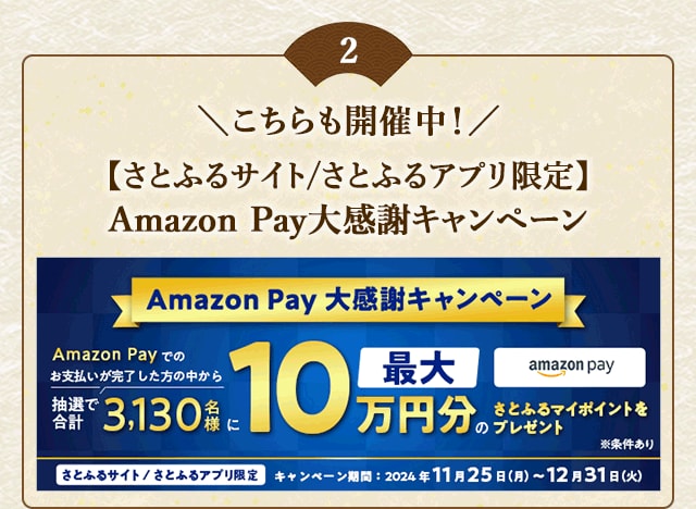 ＼こちらも開催中／さとふるサイト／さとふるアプリ限定 Amazon Pay大感謝キャンペーン