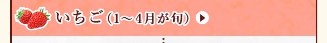 ◇１～４月が旬！《いちご》