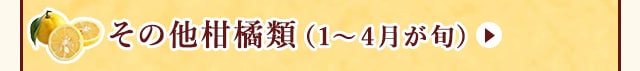 ◇１～４月が旬！《その他柑橘類》