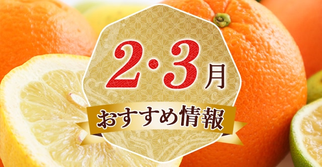 ★必見★ 一目で分かる！冬が旬の果物・フルーツをご紹介♪旬の食材はふるさと納税のお礼品で探してみませんか？