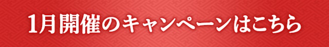 1月開催のキャンペーンはこちら